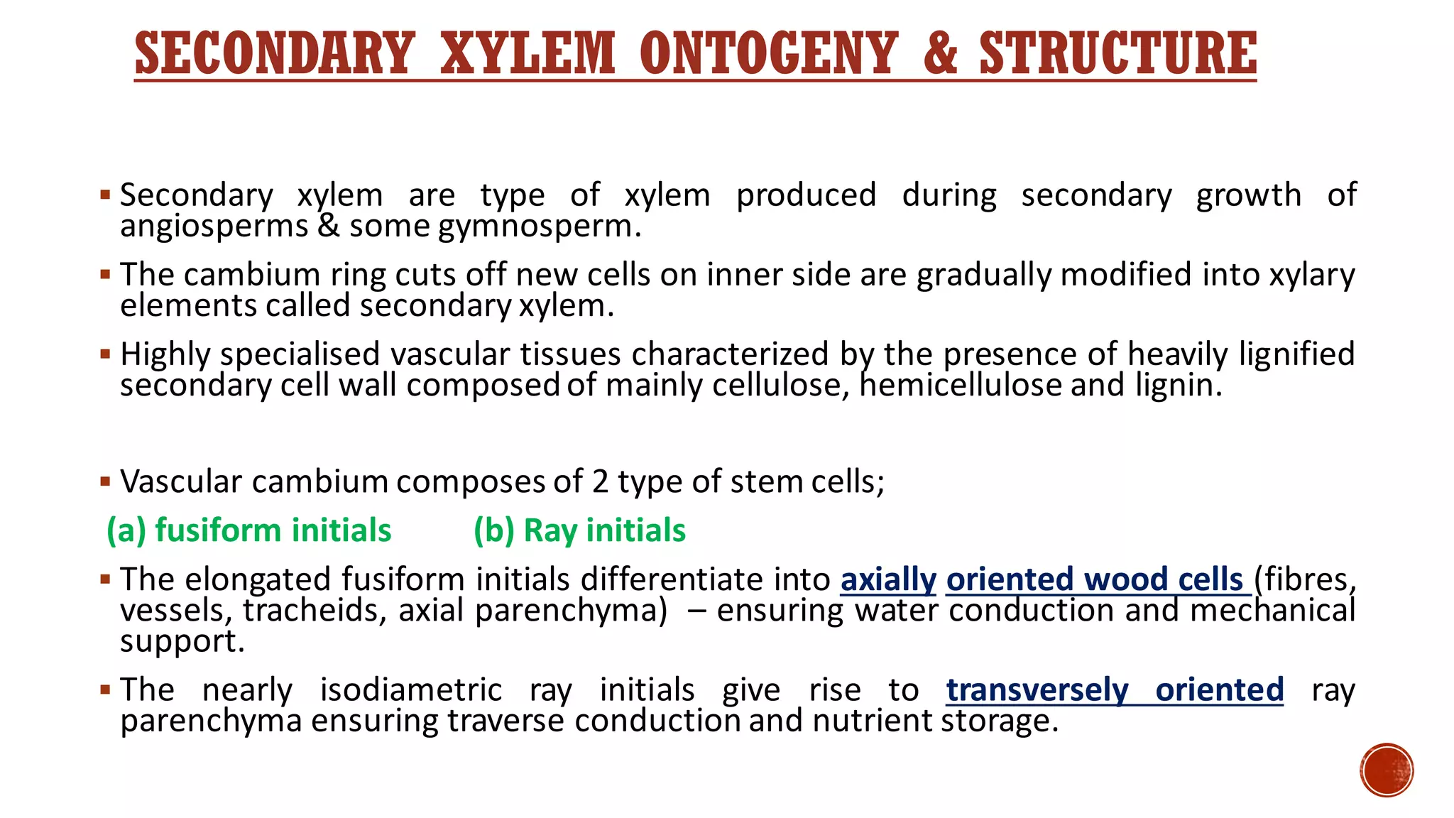 SECONDARY XYLEM ONTOGENY & STRUCTURE
▪ Secondary xylem are type of xylem produced during secondary growth of
angiosperms & some gymnosperm.
▪ The cambium ring cuts off new cells on inner side are gradually modified into xylary
elements called secondary xylem.
▪ Highly specialised vascular tissues characterized by the presence of heavily lignified
secondary cell wall composedof mainly cellulose, hemicellulose and lignin.
▪ Vascular cambium composes of 2 type of stem cells;
(a) fusiform initials (b) Ray initials
▪ The elongated fusiform initials differentiate into axially oriented wood cells (fibres,
vessels, tracheids, axial parenchyma) – ensuring water conduction and mechanical
support.
▪ The nearly isodiametric ray initials give rise to transversely oriented ray
parenchyma ensuring traverse conduction and nutrient storage.
 