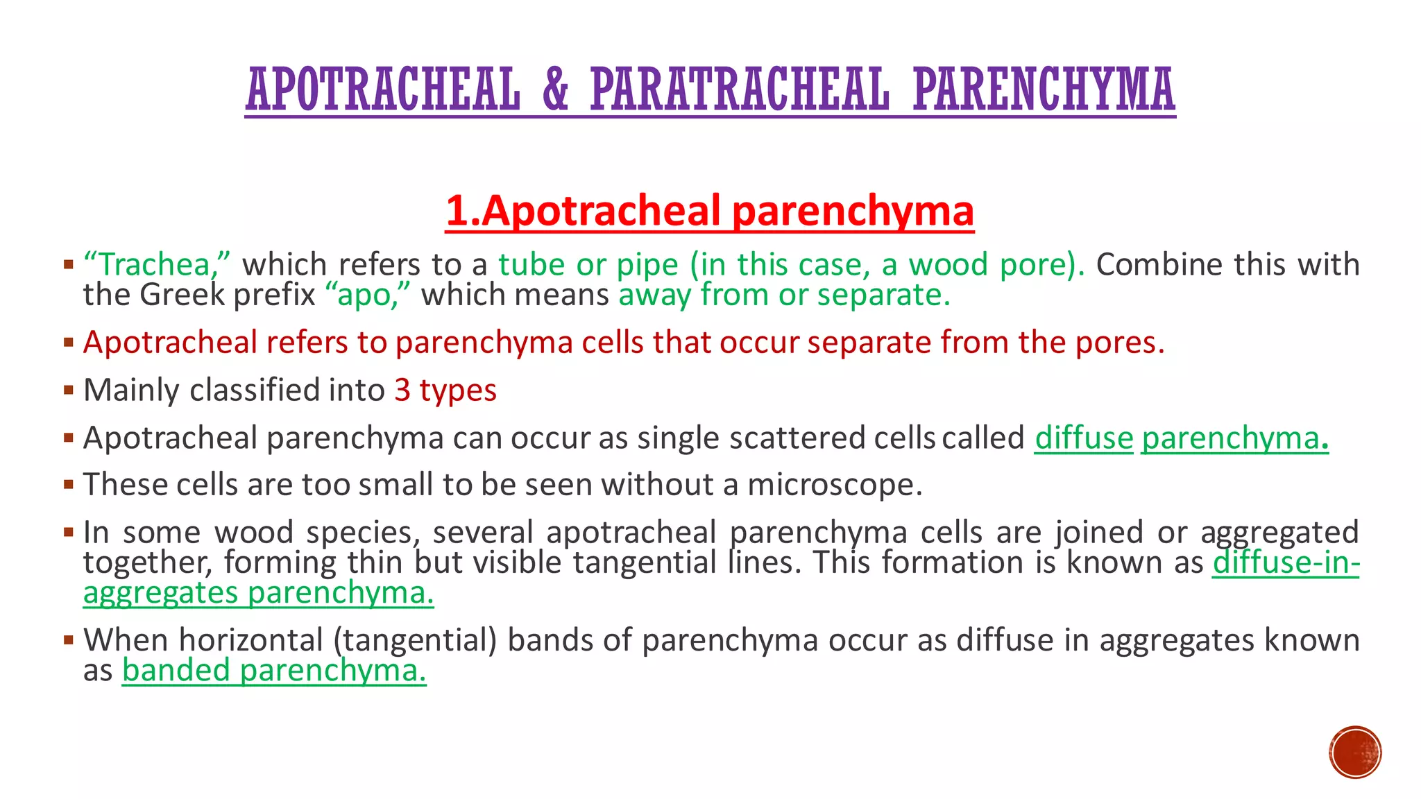 APOTRACHEAL & PARATRACHEAL PARENCHYMA
1.Apotracheal parenchyma
▪ “Trachea,” which refers to a tube or pipe (in this case, a wood pore). Combine this with
the Greek prefix “apo,” which means away from or separate.
▪ Apotracheal refers to parenchyma cells that occur separate from the pores.
▪ Mainly classified into 3 types
▪ Apotracheal parenchyma can occur as single scattered cellscalled diffuse parenchyma.
▪ These cells are too small to be seen without a microscope.
▪ In some wood species, several apotracheal parenchyma cells are joined or aggregated
together, forming thin but visible tangential lines. This formation is known as diffuse-in-
aggregates parenchyma.
▪ When horizontal (tangential) bands of parenchyma occur as diffuse in aggregates known
as banded parenchyma.
 