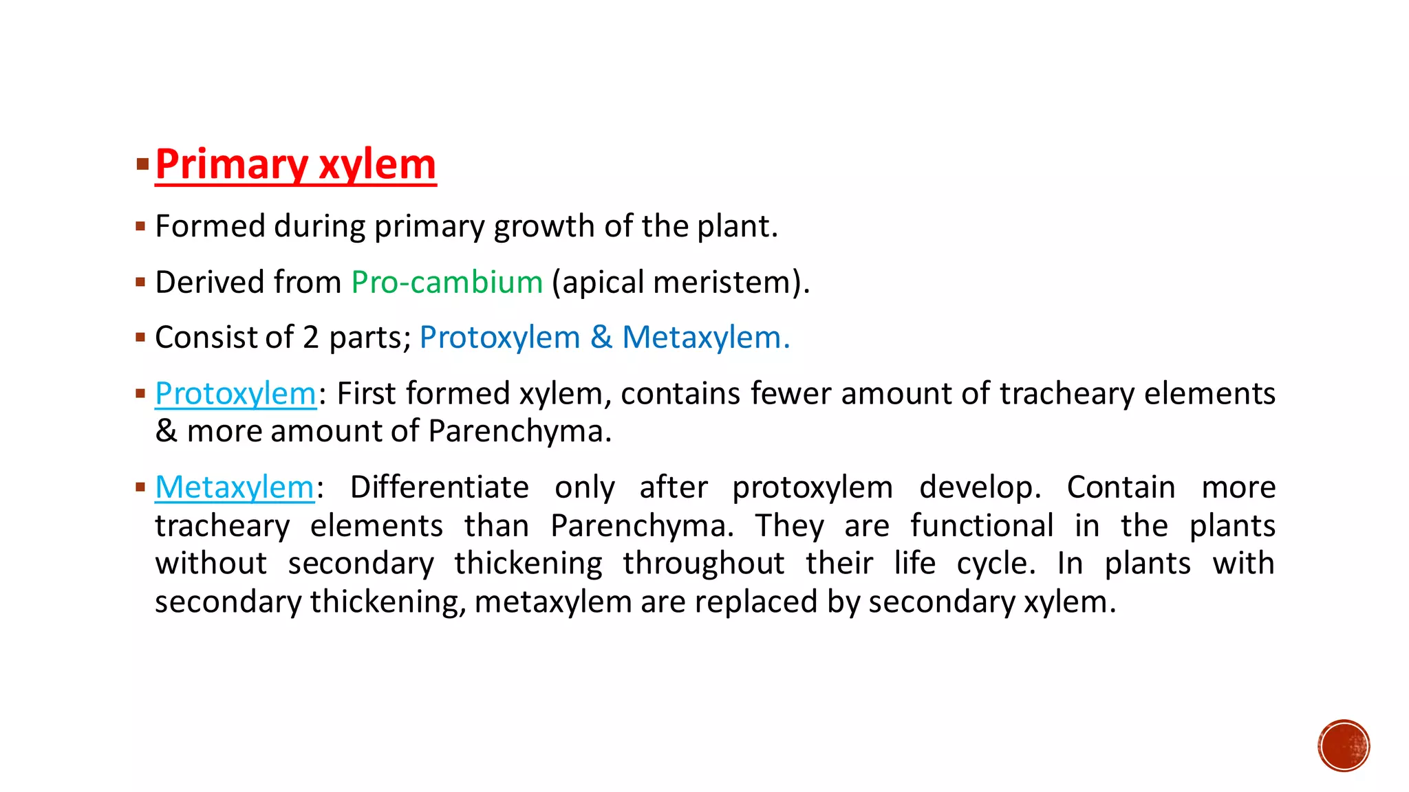 ▪Primary xylem
▪ Formed during primary growth of the plant.
▪ Derived from Pro-cambium (apical meristem).
▪ Consist of 2 parts; Protoxylem & Metaxylem.
▪ Protoxylem: First formed xylem, contains fewer amount of tracheary elements
& more amount of Parenchyma.
▪ Metaxylem: Differentiate only after protoxylem develop. Contain more
tracheary elements than Parenchyma. They are functional in the plants
without secondary thickening throughout their life cycle. In plants with
secondary thickening, metaxylem are replaced by secondary xylem.
 
