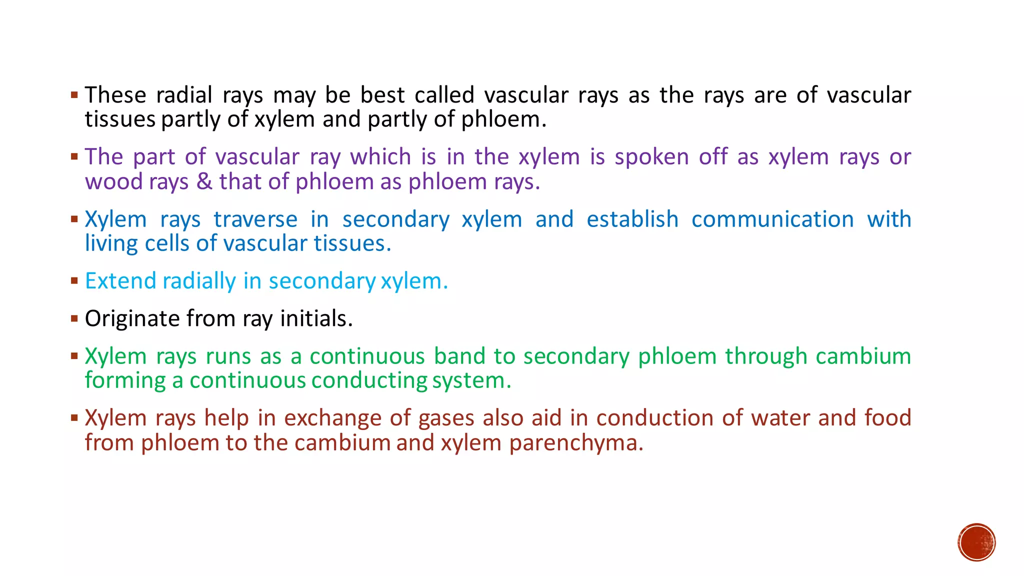 ▪ These radial rays may be best called vascular rays as the rays are of vascular
tissues partly of xylem and partly of phloem.
▪ The part of vascular ray which is in the xylem is spoken off as xylem rays or
wood rays & that of phloem as phloem rays.
▪ Xylem rays traverse in secondary xylem and establish communication with
living cells of vascular tissues.
▪ Extend radially in secondary xylem.
▪ Originate from ray initials.
▪ Xylem rays runs as a continuous band to secondary phloem through cambium
forming a continuous conducting system.
▪ Xylem rays help in exchange of gases also aid in conduction of water and food
from phloem to the cambium and xylem parenchyma.
 