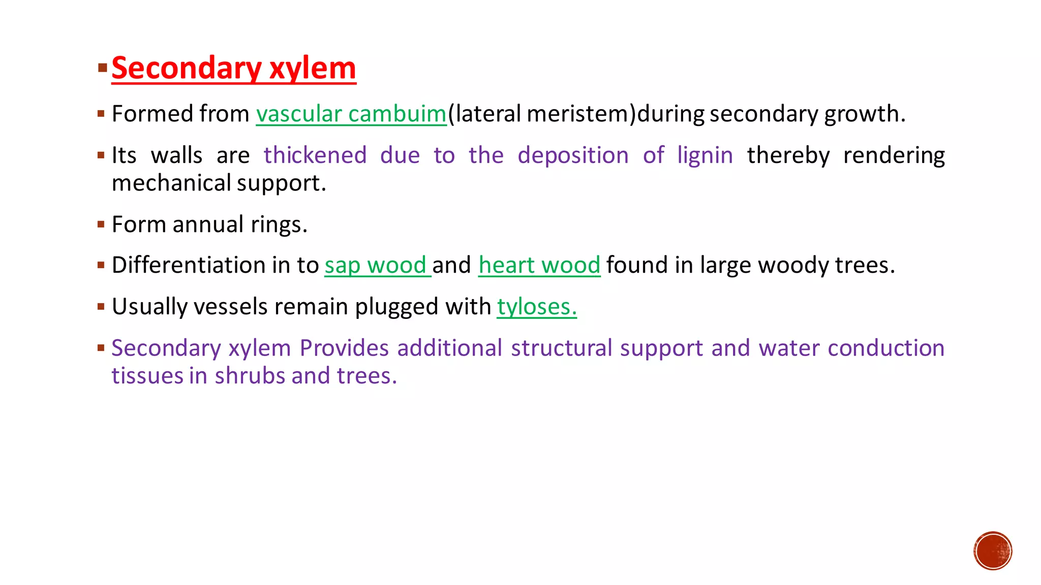 ▪Secondary xylem
▪ Formed from vascular cambuim(lateral meristem)during secondary growth.
▪ Its walls are thickened due to the deposition of lignin thereby rendering
mechanical support.
▪ Form annual rings.
▪ Differentiation in to sap wood and heart wood found in large woody trees.
▪ Usually vessels remain plugged with tyloses.
▪ Secondary xylem Provides additional structural support and water conduction
tissues in shrubs and trees.
 
