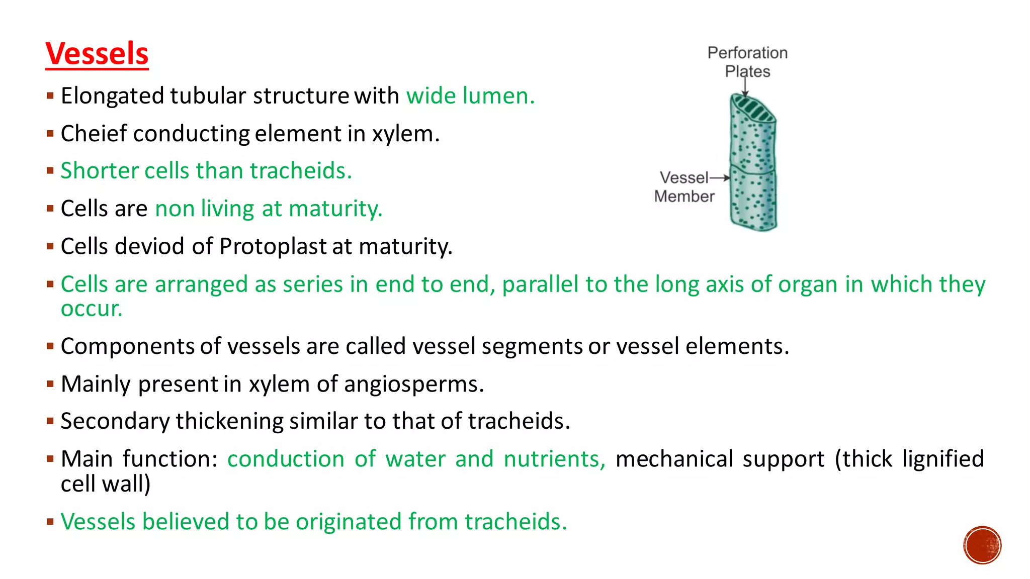 Vessels
▪ Elongated tubular structurewith wide lumen.
▪ Cheief conducting element in xylem.
▪ Shorter cells than tracheids.
▪ Cells are non living at maturity.
▪ Cells deviod of Protoplast at maturity.
▪ Cells are arranged as series in end to end, parallel to the long axis of organ in which they
occur.
▪ Components of vessels are called vessel segments or vessel elements.
▪ Mainly present in xylem of angiosperms.
▪ Secondary thickening similar to that of tracheids.
▪ Main function: conduction of water and nutrients, mechanical support (thick lignified
cell wall)
▪ Vessels believed to be originated from tracheids.
 