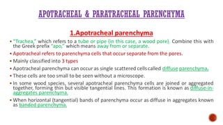 APOTRACHEAL & PARATRACHEAL PARENCHYMA
1.Apotracheal parenchyma
▪ “Trachea,” which refers to a tube or pipe (in this case, a wood pore). Combine this with
the Greek prefix “apo,” which means away from or separate.
▪ Apotracheal refers to parenchyma cells that occur separate from the pores.
▪ Mainly classified into 3 types
▪ Apotracheal parenchyma can occur as single scattered cellscalled diffuse parenchyma.
▪ These cells are too small to be seen without a microscope.
▪ In some wood species, several apotracheal parenchyma cells are joined or aggregated
together, forming thin but visible tangential lines. This formation is known as diffuse-in-
aggregates parenchyma.
▪ When horizontal (tangential) bands of parenchyma occur as diffuse in aggregates known
as banded parenchyma.
 