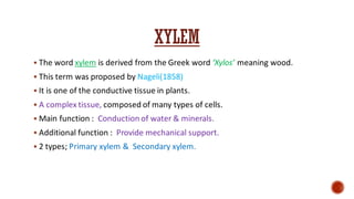 XYLEM
▪ The word xylem is derived from the Greek word ‘Xylos’ meaning wood.
▪ This term was proposed by Nageli(1858)
▪ It is one of the conductive tissue in plants.
▪ A complex tissue, composed of many types of cells.
▪ Main function : Conduction of water & minerals.
▪ Additional function : Provide mechanical support.
▪ 2 types; Primary xylem & Secondary xylem.
 