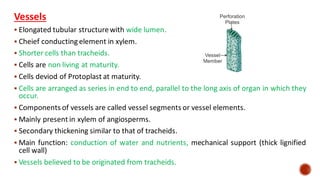 Vessels
▪ Elongated tubular structurewith wide lumen.
▪ Cheief conducting element in xylem.
▪ Shorter cells than tracheids.
▪ Cells are non living at maturity.
▪ Cells deviod of Protoplast at maturity.
▪ Cells are arranged as series in end to end, parallel to the long axis of organ in which they
occur.
▪ Components of vessels are called vessel segments or vessel elements.
▪ Mainly present in xylem of angiosperms.
▪ Secondary thickening similar to that of tracheids.
▪ Main function: conduction of water and nutrients, mechanical support (thick lignified
cell wall)
▪ Vessels believed to be originated from tracheids.
 