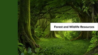 Forest and Wildlife Resources
 