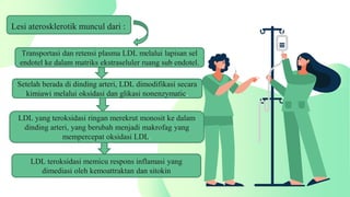 Lesi aterosklerotik muncul dari :
Transportasi dan retensi plasma LDL melalui lapisan sel
endotel ke dalam matriks ekstraseluler ruang sub endotel.
Setelah berada di dinding arteri, LDL dimodifikasi secara
kimiawi melalui oksidasi dan glikasi nonenzymatic.
LDL yang teroksidasi ringan merekrut monosit ke dalam
dinding arteri, yang berubah menjadi makrofag yang
mempercepat oksidasi LDL.
LDL teroksidasi memicu respons inflamasi yang
dimediasi oleh kemoattraktan dan sitokin
 