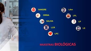 SALIVA
LCR
ORINA
LPC
SANGRE
MUESTRAS BIOLÓGICAS
LAm
LPL
LP
LS
 