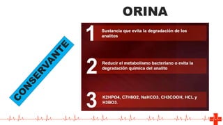 3
ORINA
 
