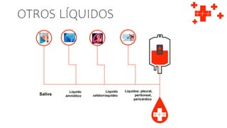 OTROS LÍQUIDOS
Saliva
Líquido
amniótico
Líquido
cefalorraquídeo
Líquidos: pleural,
peritoneal,
pericárdico
 