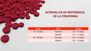 Edad Sexo Rango
18 - 20 años Hombres 0.9 - 1.3 mg/dL
Mujeres 0.6 - 1.1 mg/dL
60 - 90 años Hombres 0.8 - 1.3 mg/dL
Mujeres 0.6 - 1.2 mg/dL
INTERVALOS DE REFERENCIA
DE LA CREATININA
 