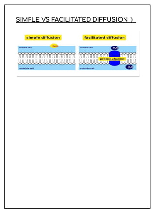 SIMPLE VS FACILITATED DIFFUSION 》
 