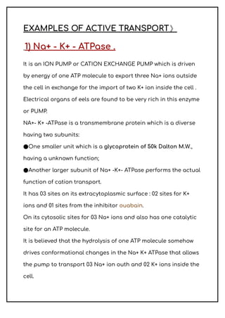 EXAMPLES OF ACTIVE TRANSPORT》
1) Na+ - K+ - ATPase .
It is an ION PUMP or CATION EXCHANGE PUMP which is driven
by energy of one ATP molecule to export three Na+ ions outside
the cell in exchange for the import of two K+ ion inside the cell .
Electrical organs of eels are found to be very rich in this enzyme
or PUMP.
NA+- K+ -ATPase is a transmembrane protein which is a diverse
having two subunits:
●One smaller unit which is a glycoprotein of 50k Dalton M.W.,
having a unknown function;
●Another larger subunit of Na+ -K+- ATPase performs the actual
function of cation transport.
It has 03 sites on its extracytoplasmic surface : 02 sites for K+
ions and 01 sites from the inhibitor ouabain.
On its cytosolic sites for 03 Na+ ions and also has one catalytic
site for an ATP molecule.
It is believed that the hydrolysis of one ATP molecule somehow
drives conformational changes in the Na+ K+ ATPase that allows
the pump to transport 03 Na+ ion outh and 02 K+ ions inside the
cell.
 