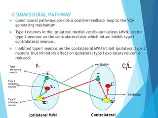 Middle ear mechanics | PDF