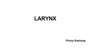 LARYNX
Princy Kashyap
 