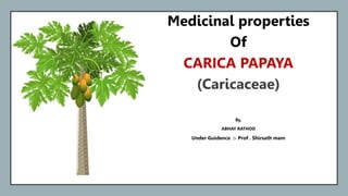 CC
Medicinal properties
Of
CARICA PAPAYA
(Caricaceae)
By,
ABHAY RATHOD
Under Guidence :- Prof . Shirsath mam
 