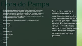 z
Flora do Pampa
 O Pampa apresenta grande diversidade vegetal, podendo ser encontradas
em torno de três mil espécies de plantas. A vegetação é constituída por
espécies herbáceas, com uma grande diversidade de gramíneas, arbustos e
árvores de pequeno porte. A paisagem é constituída principalmente por
campos naturais, apresentando regiões com matas restritas às margens dos
locais onde o relevo é mais acidentado.
 Dentre as espécies vegetais encontradas no Pampa, podemos citar:
 grama-tapete
 capim-forquilha
 flechilha
 cabelo-de-porco
 babosa-do-campo
 trevo-nativo
 algarrobo
 Jatobá
Assim como as pradarias, a
vegetação dos Pampas é
predominantemente campestre,
formada por plantas herbáceas, o
que inclui as gramíneas, e espécies
arbustivas. Em algumas áreas desse
bioma, é possível identificar a
presença de matas ciliares, algumas
árvores decíduas e formações
pioneiras, embora em menor
quantidade.
 