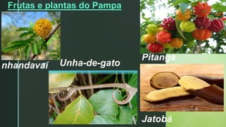 z
Pitanga
Frutas e plantas do Pampa
Jatobá
nhandavaí Unha-de-gato
 