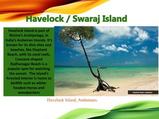 Havelock Island, Andamans.
Havelock Island is part of
Ritchie’s Archipelago, in
India’s Andaman Islands. It’s
known for its dive sites and
beaches, like Elephant
Beach, with its coral reefs.
Crescent-shaped
Radhanagar Beach is a
popular spot for watching
the sunset. The island's
forested interior is home to
birdlife such as white-
headed mynas and
woodpeckers
 