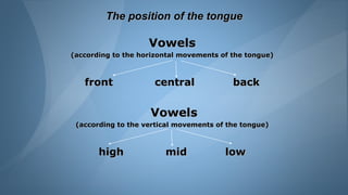 The position of the tongue
Vowels
(according to the horizontal movements of the tongue)
front central back
Vowels
(accordi...