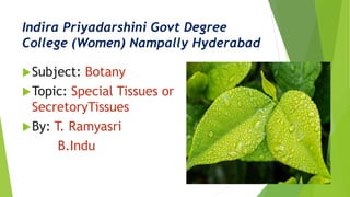 Indira Priyadarshini Govt Degree
College (Women) Nampally Hyderabad
Subject: Botany
Topic: Special Tissues or
SecretoryTissues
By: T. Ramyasri
B.Indu
 