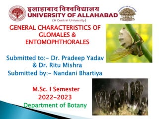 GENERAL CHARACTERISTICS OF
GLOMALES &
ENTOMOPHTHORALES
Submitted to:- Dr. Pradeep Yadav
& Dr. Ritu Mishra
Submitted by:- Nandani Bhartiya
M.Sc. I Semester
2022-2023
Department of Botany
 