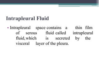 Respiratory system and its morphology.pptx