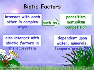 © 2004 Plano ISD, Plano, TX
interact with each
other in complex
ways
Biotic Factors
also interact with
abiotic factors in
...