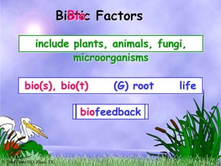 © 2004 Plano ISD, Plano, TX
Biotic Factors
Bio
bio(s), bio(t) (G) root life
include plants, animals, fungi,
microorganisms...