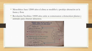 • Meseolitico: hace 12000 años el clima se modificó y produjo alteración en la
fauna y flora
• Revolución Neolitica: 10000 años atrás se comenzaron a domesticar plantas y
animales para obtener alimentos.
 