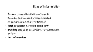 Signs of inflammation
• Redness caused by dilation of vessels
• Pain due to increased pressure exerted
by accumulation of interstitial fluid
• Heat caused by increased blood flow
• Swelling due to an extravascular accumulation
of fluid
• Loss of function
 