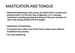 Mastication Process The musculoskeletal system | PDF