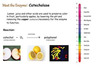 DOC-20230326-WA0034..pptx