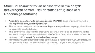 Structural characterization of aspartate‑semialdehyde
dehydrogenase from Pseudomonas aeruginosa and
Neisseria gonorrhoeae
● Aspartate-semialdehyde dehydrogenase (ASADH) is an enzyme involved in
the aspartate biosynthetic pathway.
● This enzyme catalyzes the reductive dephosphorylation of aspartyl phosphate
to aspartate semialdehyde.
● This pathway is essential for producing essential amino acids and metabolites
in the microorganisms, and inhibition of ASADH is fatal; hence it has proved to
be an attractive target for antimicrobial drugs.
● Mammals including human beings do not have a homolog of ASADH or require
this pathway make this an important pathway to target in microorganisms.
 