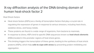 X-ray diﬀraction analysis of the DNA-binding domain of
human heat-shock factor 2
Heat Shock factors
● Heat shock factors (HSFs) are a family of transcription factors that play a crucial role in
regulating the expression of genes in response to various stressors, including heat shock,
oxidative stress, and heavy metals.
● These proteins are found in a wide range of organisms, from bacteria to mammals.
● In response to stress, HSFs bind to speciﬁc DNA sequences known as heat shock elements
(HSEs) located in the promoter regions of heat shock genes.
● This binding triggers the transcription of these genes, leading to the synthesis of heat shock
proteins (HSPs), which help cells to cope with stress by preventing protein misfolding and
aggregation.
 