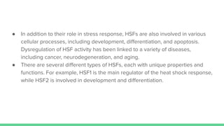 ● In addition to their role in stress response, HSFs are also involved in various
cellular processes, including development, diﬀerentiation, and apoptosis.
Dysregulation of HSF activity has been linked to a variety of diseases,
including cancer, neurodegeneration, and aging.
● There are several diﬀerent types of HSFs, each with unique properties and
functions. For example, HSF1 is the main regulator of the heat shock response,
while HSF2 is involved in development and diﬀerentiation.
 