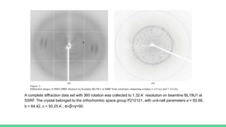A complete diffraction data set with 360 rotation was collected to 1.32 A˚ resolution on beamline BL19U1 at
SSRF. The crystal belonged to the orthorhombic space group P212121, with unit-cell parameters a = 65.66,
b = 64.42, c = 93.25 A˚, α=β=γ=90.
 