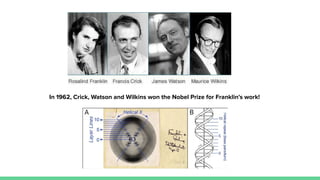 In 1962, Crick, Watson and Wilkins won the Nobel Prize for Franklin’s work!
 