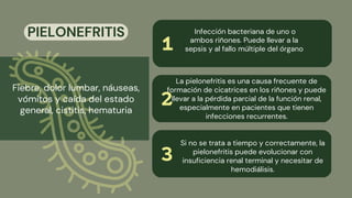 Infecciones renales por bacterias 