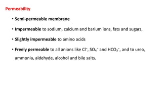 Permeability
• Semi-permeable membrane
• Impermeable to sodium, calcium and barium ions, fats and sugars,
• Slightly impermeable to amino acids
• Freely permeable to all anions like Cl⁻, SO₄⁻ and HCO₃⁻, and to urea,
ammonia, aldehyde, alcohol and bile salts.
 