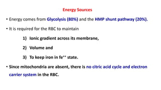 Energy Sources
• Energy comes from Glycolysis (80%) and the HMP shunt pathway (20%).
• It is required for the RBC to maintain
1) Ionic gradient across its membrane,
2) Volume and
3) To keep iron in fe⁺⁺ state.
• Since mitochondria are absent, there is no citric acid cycle and electron
carrier system in the RBC.
 