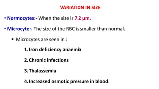 VARIATION IN SIZE
• Normocytes:- When the size is 7.2 μm.
• Microcyte:- The size of the RBC is smaller than normal.
 Microcytes are seen in :
1.Iron deficiency anaemia
2.Chronic infections
3.Thalassemia
4.Increased osmotic pressure in blood.
 