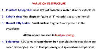 VARIATION IN STRUCTURE
1. Punctate basophilia: Small dots of basophilic material in the cytoplasm.
2. Cabot's ring: Ring shape or figure of '8' material appears in the cell.
3. Howell Jolly bodies: Small nuclear fragments are present in the
cytoplasm.
All the above are seen in lead poisoning.
4. Siderocyte: RBC containing nonhaem iron granules in the cytoplasm are
called siderocytes. seen in lead poisoning and splenectomized persons.
 