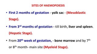 SITES OF HAEMOPOIESIS
• First 2 months of gestation - yolk sac - (Mesoblastic
Stage).
• From 3rd months of gestation - till birth, liver and spleen.
(Hepatic Stage).
• From 20th week of gestation, - bone marrow and by 7th
or 8th month- main site (Myeloid Stage).
 