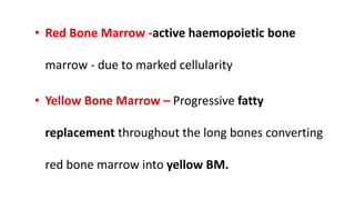 • Red Bone Marrow -active haemopoietic bone
marrow - due to marked cellularity
• Yellow Bone Marrow – Progressive fatty
replacement throughout the long bones converting
red bone marrow into yellow BM.
 