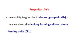 Progenitor Cells
• Have ability to give rise to clones (group of cells), so
they are also called colony forming cells or colony
forming units (CFU).
 