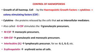 CONTROL OF HAEMOPOIESIS
• Growth of all haemop. Cell - by the Haemopoietic Growth Factors = cytokines =
colony stimulating factors (CSF) :
• Cytokine - the proteins released by the cells that act as intercellular mediators.
• Also called - G-CSF stimulates the granulocytic precursors,
• M-CSF  monocytic precursors,
• GM-CSF  granulocytic and monocytic precursors.
• Interleukins (IL)  lymphocytic precursor, for ex- IL-1, IL-3, etc.
• Erythropoietin  erythroid series of cells.
 