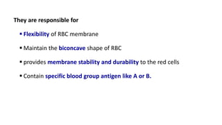 They are responsible for
 Flexibility of RBC membrane
 Maintain the biconcave shape of RBC
 provides membrane stability and durability to the red cells
 Contain specific blood group antigen like A or B.
 