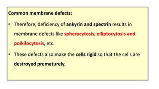 Common membrane defects:
• Therefore, deficiency of ankyrin and spectrin results in
membrane defects like spherocytosis, elliptocytosis and
poikilocytosis, etc.
• These defects also make the cells rigid so that the cells are
destroyed prematurely.
 