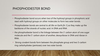 PHOSPHODIESTER BOND
• Phosphodiester bond occurs when two of the hydroxyl groups in phosphoric acid
react with hydroxyl groups on other molecules to form two ester bonds.
• Phosphodiester bonds are central to all life on Earth,[fn 1] as they make up the
backbone of the strands of nucleic acid. In DNA and RNA
• the phosphodiester bond is the linkage between the 3’ carbon atom of one sugar
molecule and the 5’ carbon atom of another, deoxyribose in DNA and ribose in
RNA.
• Strong covalent bonds form between the phosphate group and two 5-carbon
ring carbohydrates (pentoses) over two ester bonds
 